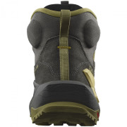 Salomon Elixir Mid Gore-Tex férficipő