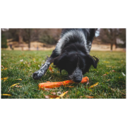 Ruffwear Gnawt-a-Stick™ Toy játékszer kutyáknak