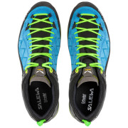 Pánské boty Salewa Ms Mtn Trainer 2 Gtx