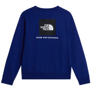 The North Face M Evolution Box Nse Regular Crew férfi pulóver