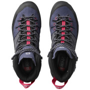 Női cipő Salomon X Alp High Ltr Gtx W