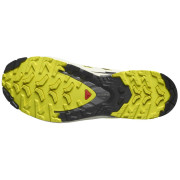 Salomon Xa Pro 3D V9 Gore-Tex férfi túracipő