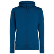 Icebreaker M Mer 260 Quantum IV LS Zip Hoodie férfi funkcionális pulóver
