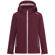 Regatta Haydenbury Fig gyerek softshell kabát lila Fig Powder Lilac