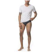 Férfi fecskealsó Icebreaker Mens Anatomica Briefs