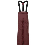 Dare 2b Outmove III Insulated Pant Huckleberry gyerek téli nadrág