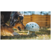 Ruffwear Porchini™ játékszer kutyáknak