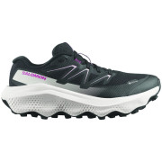 Salomon Ultra Flow 2 Gore-Tex női futócipő