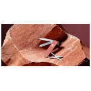 Victorinox Classic SD Alox LE 2025 bicska