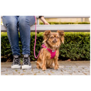 Curli Stretch Comfort Leash kutyapóráz