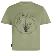 Icebreaker Merino 150 Tech Lite SS Crop Tee Seed Story női póló