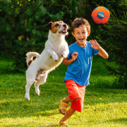 Nerf Dog X-Weave Soccer Squeak Ball 12,5 cm játékszer kutyáknak