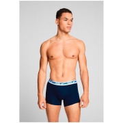 Puma Everyday Multi Logo Boxers 2P férfi boxer