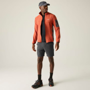 Regatta Anti-Insect Travel Light Shorts férfi rövidnadrág