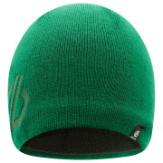 Dare 2b Rethink Beanie sapka zöld ForestGreen