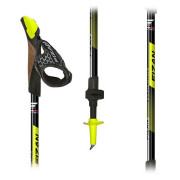 Fizan R-Evolution nordic walking túrabot