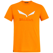 Férfi póló Salewa Solidlogo Dri-Rel M S/S Tee sárga