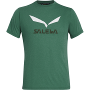 Férfi póló Salewa Solidlogo Dri-Rel M S/S Tee zöld