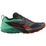 Salomon Sense Ride 5 férfi futócipő