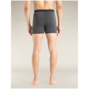 Icebreaker Mens Anatomica Boxers férfi boxer