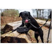 Mountain Paws Collapsible Dog Food Bowl kutyatál