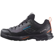 Salomon X Ultra Alpine Gore-Tex női cipő