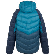 Regatta Hooded Dalent férfi dzseki