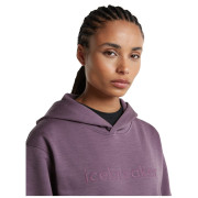 Icebreaker W Mer 360 RealFleece Elemental LS Hood női funkcionális pulóver