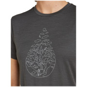 Icebreaker Women Merino 150 Tech Lite SS Tee Hike Path női póló