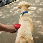 Nite Ize RadDog™ Retractable Pocket Leash kutyapóráz