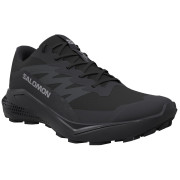 Salomon Alphaglide Gore-Tex női cipő