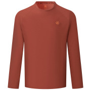 Dare 2b Agile Long Sleeved Tee férfi póló barna ArabianSpice
