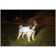 Mountain Paws Reflective Fleece-Lined Dog Raincoat kutyaesőkabát