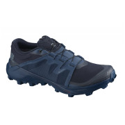 Salomon Wildcross GTX férficipő