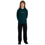 4F Sweatshirt M1959 gyerek pulóver