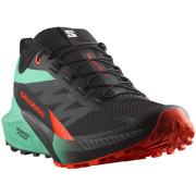 Salomon Sense Ride 5 férfi futócipő