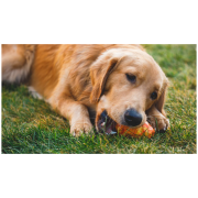 Ruffwear Gnawt-a-Cone™ Toy játékszer kutyáknak