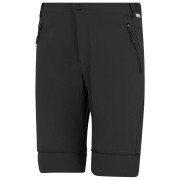 Regatta Mountain Z/O Trousers férfi nadrág