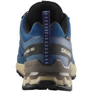 Salomon Xa Pro 3D V9 Gore-Tex férfi túracipő