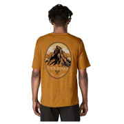 Patagonia M's Cap Cool Daily Graphic Shirt - Lands férfi póló