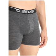 Icebreaker Mens Anatomica Boxers férfi boxer