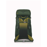 Osprey Ace 38 gyerek hátizsák