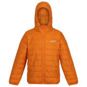 Regatta Jr Hooded Hillpck gyerek dzseki