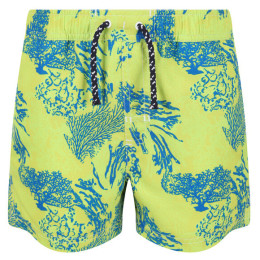 Gyerek rövidnadrág Regatta Skander II zöld/kék