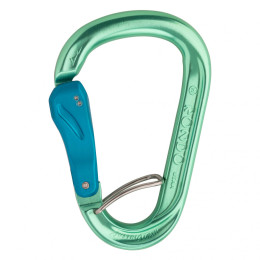 Karabiner AustriAlpin Rondo HMS Slide Autolock Selfie zöld