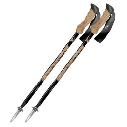 Fizan Compact 1947 túrabot