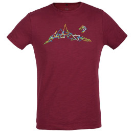 Direct Alpine Bosco férfi póló