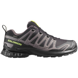 Salomon Xa Pro 3D V9 Gore-Tex férfi túracipő