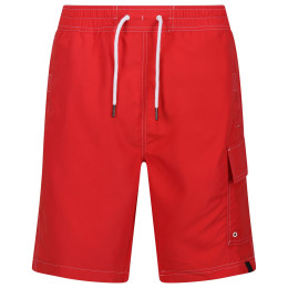 Regatta Hotham BdShort IV férfi rövidnadrág
