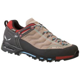 Női cipő Salewa MTN Trainer GTX (2017) barna